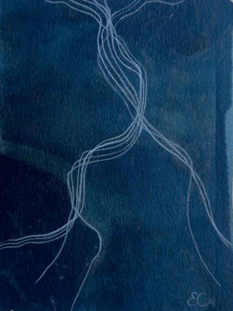 Seven Lives (Print)