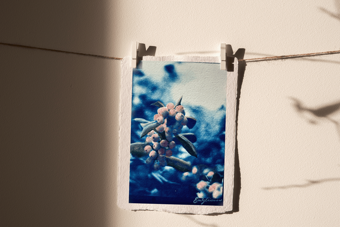 Holly for December (Print)