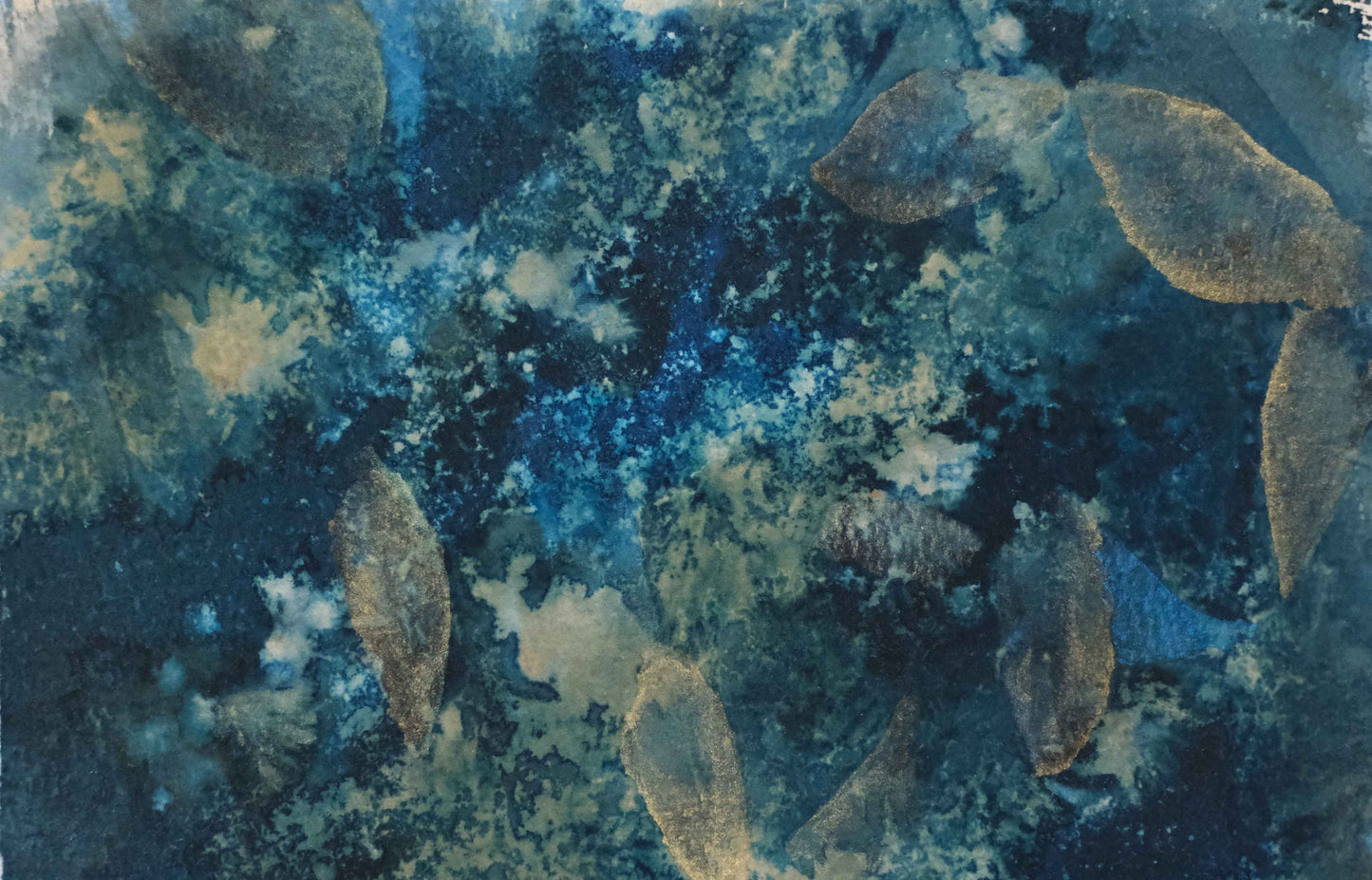 Light Underwater (Print)