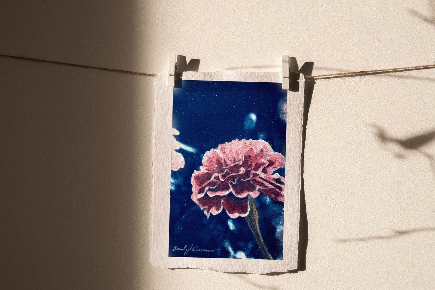 Marigold for October (Print)