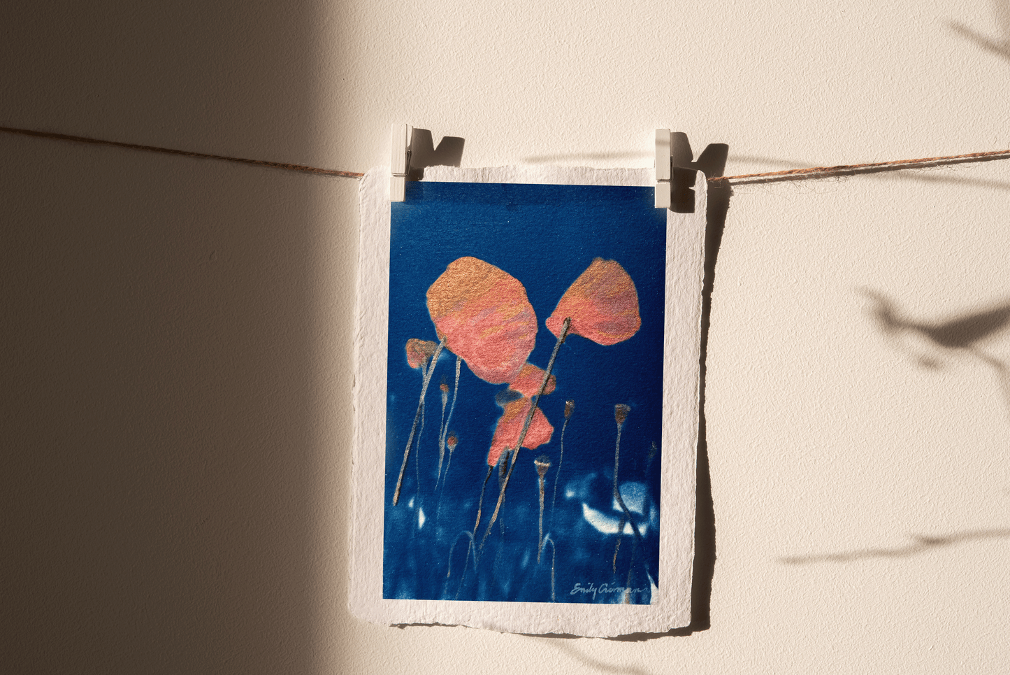 Poppy for August (Print)