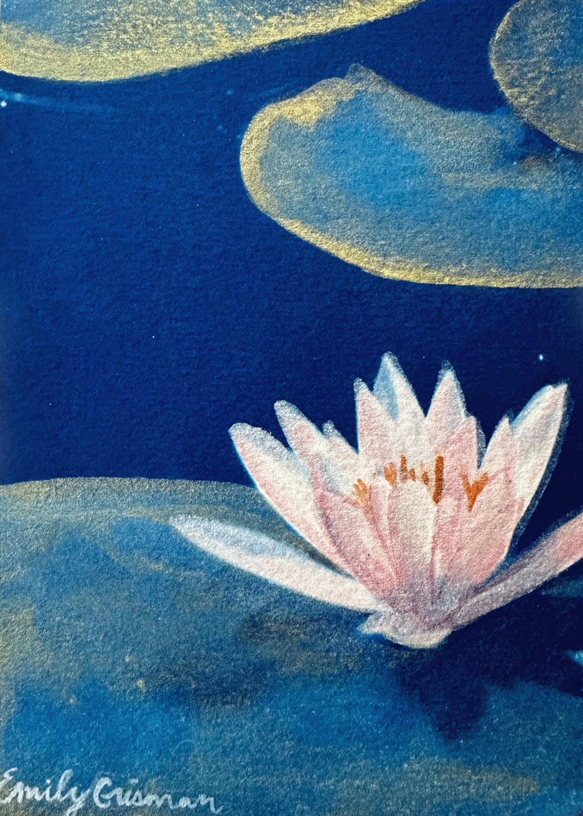 july flower water lily Waterlily for July (Print) – Em Crisman