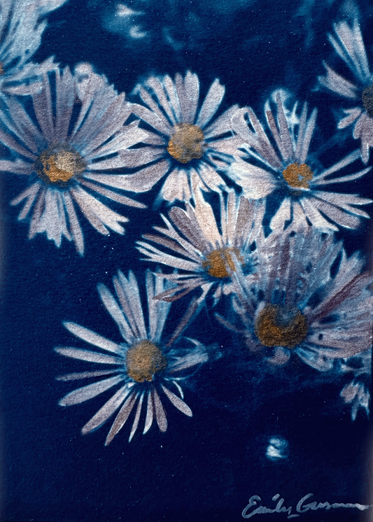 Aster for September (Print)