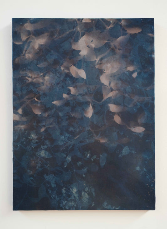 What the Morning Only Knew