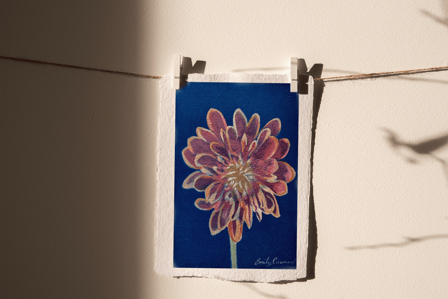 Chrysanthemum for November, Print