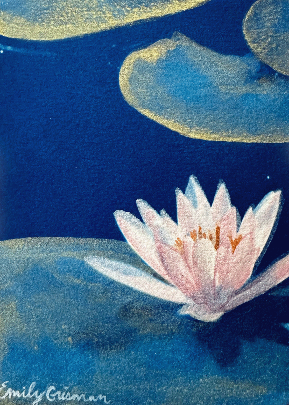 Waterlily for July (Print)